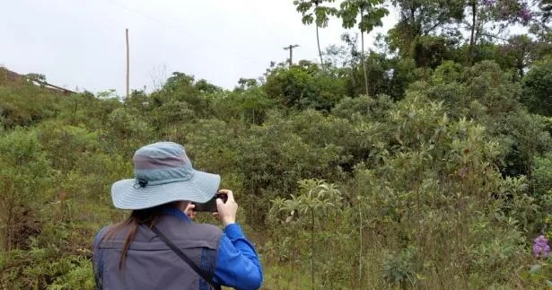 Registro fotográfico do monitoramento de evolução da área