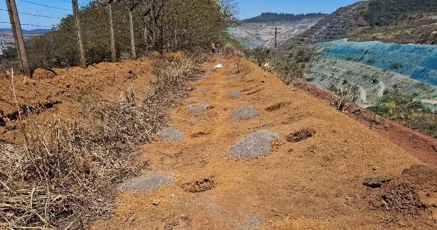 Faixa preparada para implantação de cortina arbórea