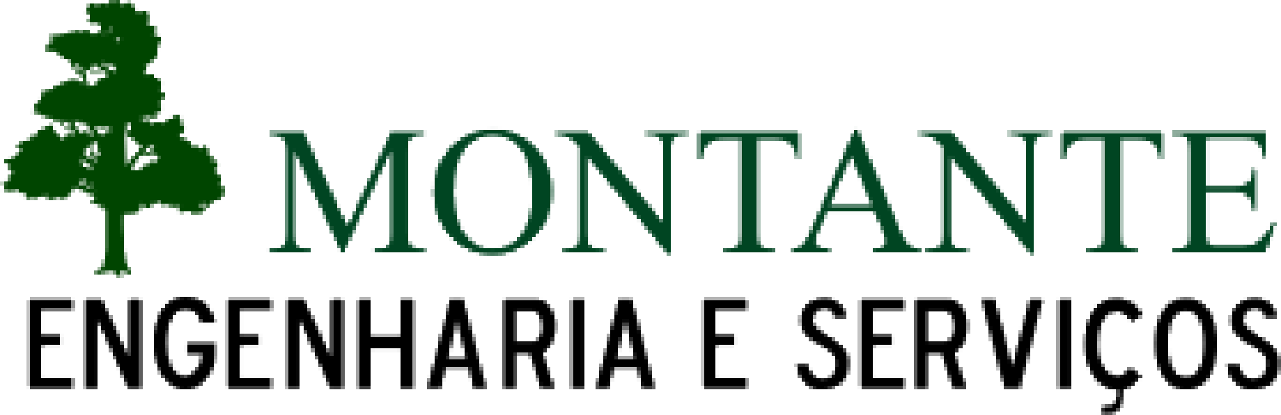 Montante Engenharia e Serviços